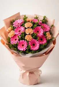 Gerbera Seducție