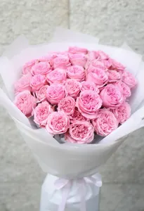 Pomarose Dansul Căldurii