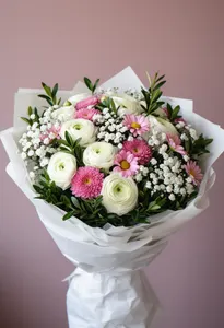 Cura Ranunculus