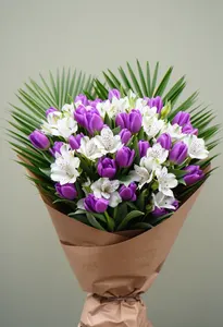 Nobila Purpură
