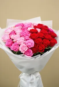 Ombré de Valentine