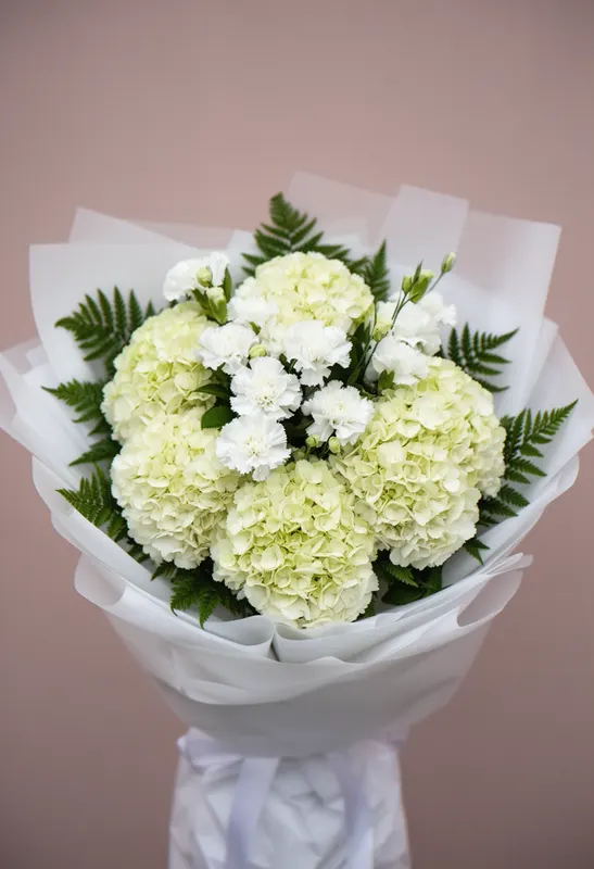 Hortensie Cremă Primăvară