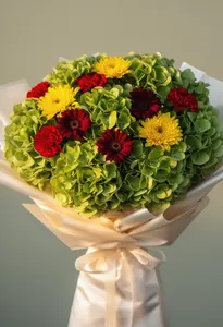 Armonie Hortensie Verde