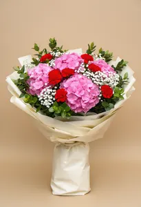 Hortensii de Felicitate