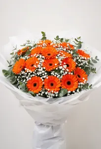Gerbera Optimism